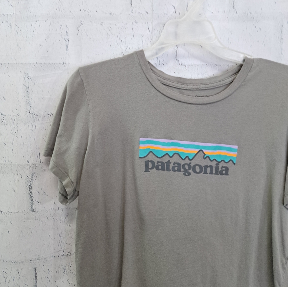 Patagonia cropped tee shirt